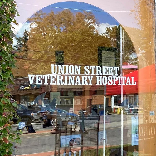 Union Street Veterinary Hospital
